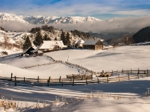 Pensiunea Ursul Carcotas - cazare Rucar - Bran, Moeciu (04)