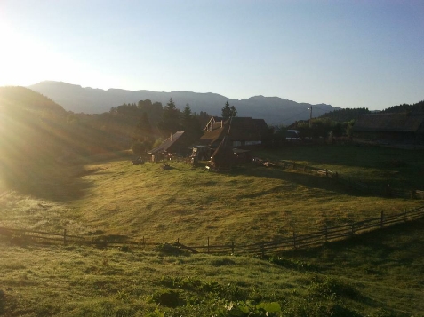 Pensiunea Ursul Carcotas - alloggio in  Rucar - Bran, Moeciu (Attivit&agrave; e i dintorni)