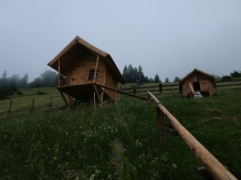 Peisaj Magura - accommodation in  Rucar - Bran, Piatra Craiului, Moeciu (46)