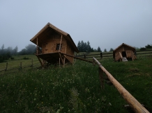 Peisaj Magura - alloggio in  Rucar - Bran, Piatra Craiului, Moeciu (46)