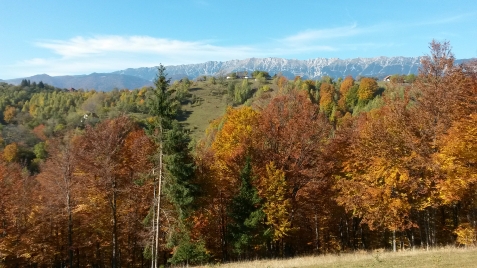 Peisaj Magura - cazare Rucar - Bran, Piatra Craiului, Moeciu (Activitati si imprejurimi)