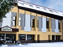 Vila Simonte - accommodation in  Brasov Depression (02)