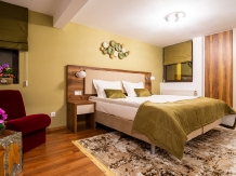 Vila Simonte - accommodation in  Brasov Depression (19)