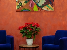 Vila Simonte - accommodation in  Brasov Depression (36)