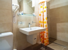 Vila Simonte - accommodation in  Brasov Depression (46)