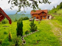 Rural accommodation at  Pensiunea Sofia