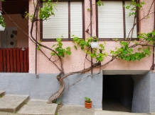 Casa Maior - accommodation in  Harghita Covasna (02)