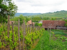 Casa Maior - alloggio in  Harghita Covasna (09)