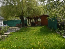 La mica Ani - accommodation in  Fagaras and nearby, Muscelului Country (28)