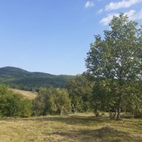 La mica Ani - accommodation in  Fagaras and nearby, Muscelului Country (Surrounding)