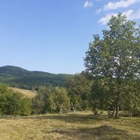 La mica Ani - accommodation in Fagaras and nearby, Muscelului Country (Surrounding) La mica Ani - accommodation in Fagaras and nearby, Muscelului Country (Surrounding)
