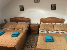 Casa cu Pitici - alloggio in  Gura Humorului, Bucovina (42)