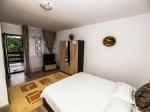 Casa de sub deal - accommodation in  North Oltenia (39)