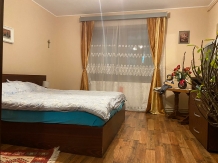 Casa  Codruta - accommodation in  Brasov Depression, Rasnov (13)