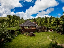 Casa Cerbul - accommodation in  Rucar - Bran, Moeciu (15)
