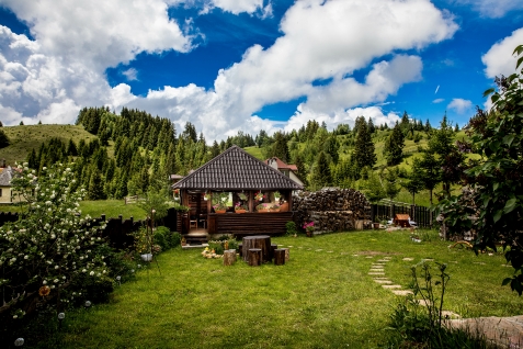 Casa Cerbul - alloggio in  Rucar - Bran, Moeciu (Attivit&agrave; e i dintorni)