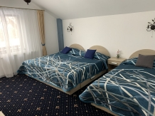 Paraul Rece Avrig - accommodation in  Fagaras and nearby (13)