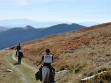 Cabana Escape Bucovina - cazare Vatra Dornei, Bucovina (11)