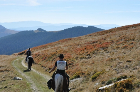 Cabana Escape Bucovina - alloggio in Vatra Dornei, Bucovina (Attività e i dintorni) Cabana Escape Bucovina - alloggio in Vatra Dornei, Bucovina (Attività e i dintorni)
