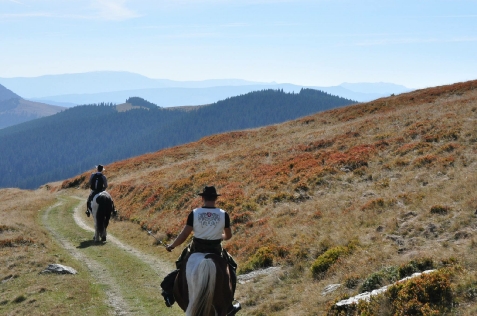 Cabana Escape Bucovina - alloggio in  Vatra Dornei, Bucovina (Attivit&agrave; e i dintorni)