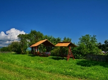 Casa Petran - accommodation in  Maramures Country (04)