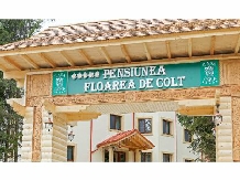 Pensiunea Floarea de Colt - alloggio in  Fagaras e vicinanze, Tara Muscelului (02)