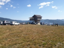 Pensiunea Floarea de Colt - alloggio in  Fagaras e vicinanze, Tara Muscelului (11)