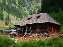 Pensiunea Floarea de Colt - alloggio in  Fagaras e vicinanze, Tara Muscelului (15)