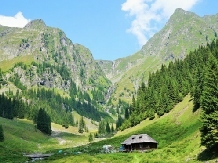 Pensiunea Floarea de Colt - cazare Fagaras, Tara Muscelului (16)