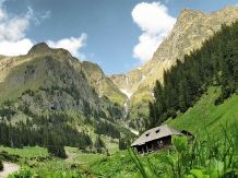 Pensiunea Floarea de Colt - alloggio in  Fagaras e vicinanze, Tara Muscelului (18)