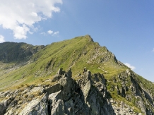 Pensiunea Floarea de Colt - cazare Fagaras, Tara Muscelului (21)