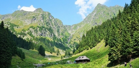 Pensiunea Floarea de Colt - accommodation in  Fagaras and nearby, Muscelului Country (Surrounding)