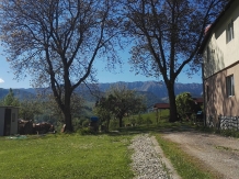 Nona Highland Home - accommodation in  Rucar - Bran, Moeciu (07)