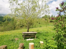 Nona Highland Home - accommodation in  Rucar - Bran, Moeciu (12)