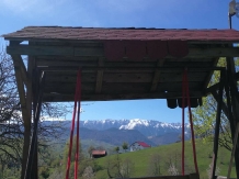 Nona Highland Home - accommodation in  Rucar - Bran, Moeciu (17)