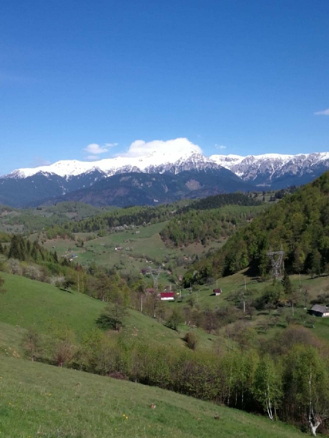Nona Highland Home - cazare Rucar - Bran, Moeciu (Activitati si imprejurimi) Nona Highland Home - cazare Rucar - Bran, Moeciu (Activitati si imprejurimi)