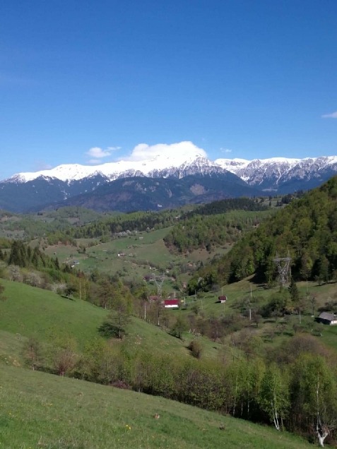 Nona Highland Home - alloggio in  Rucar - Bran, Moeciu (Attivit&agrave; e i dintorni)