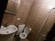 Casa Nemes - accommodation in  Maramures Country (17)