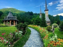 Casa Nemes - accommodation in  Maramures Country (42)