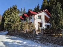 Rural accommodation at  Pensiunea Petrescu