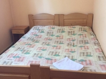 Pensiunea Petrescu - accommodation in  Muntenia (03)