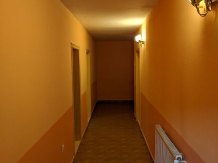 Pensiunea Petrescu - accommodation in  Muntenia (12)
