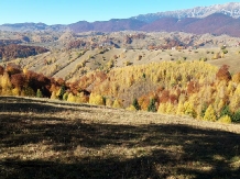 Casa Claudiu - cazare Rucar - Bran, Moeciu (05)