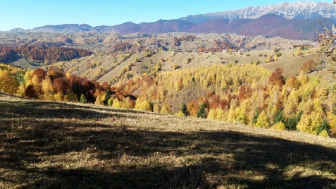Casa Claudiu - cazare Rucar - Bran, Moeciu (Activitati si imprejurimi) Casa Claudiu - cazare Rucar - Bran, Moeciu (Activitati si imprejurimi)