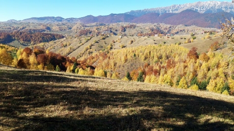 Casa Claudiu - cazare Rucar - Bran, Moeciu (Activitati si imprejurimi)