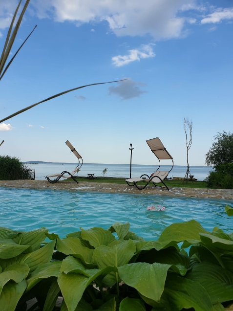Pensiunea Poarta Apelor - accommodation in  Danube Delta (Surrounding)