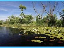 Royal Cruises - excursii cu barca - alloggio in  Delta del Danubio (19)