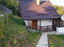 Rural accommodation at  Pensiunea La Gicu