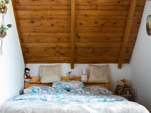 Pensiunea La Gicu - accommodation in  Apuseni Mountains (11)