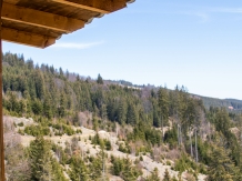 Pensiunea La Gicu - accommodation in  Apuseni Mountains (26)